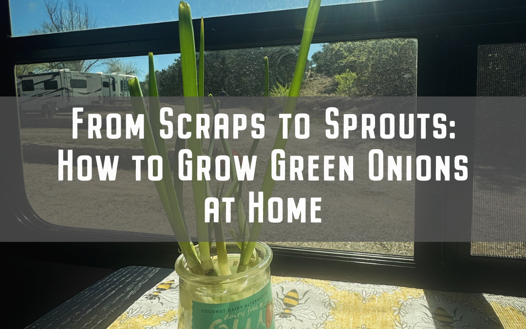 From Scraps to Sprouts: How to Grow Green Onions at Home
